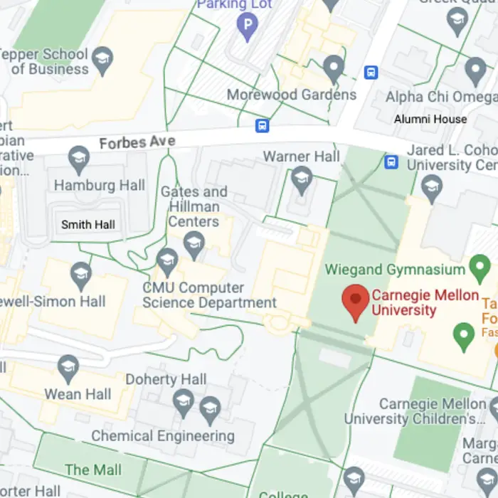 Google Map icon